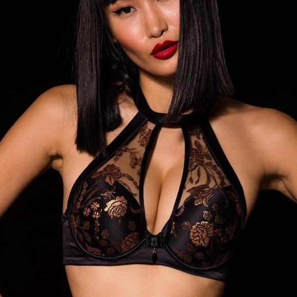 honey birdette Other - Honey Birdette Amber Bra